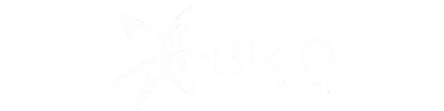 Brio Touch